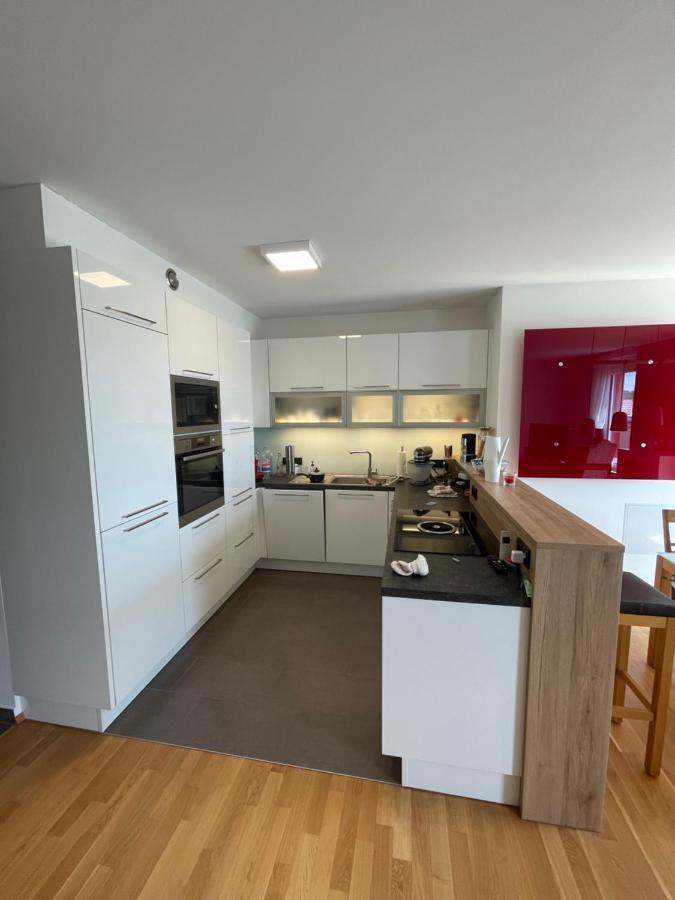 Penthouse Wohnung Am Radweg Mit Dachterasse ヴァイトホーフェン・アン・デア・ターヤ エクステリア 写真